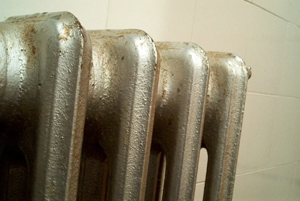 Petek Temizliği Ne Zaman ve Hangi Sıklıkta Tekrar Yapılmalı